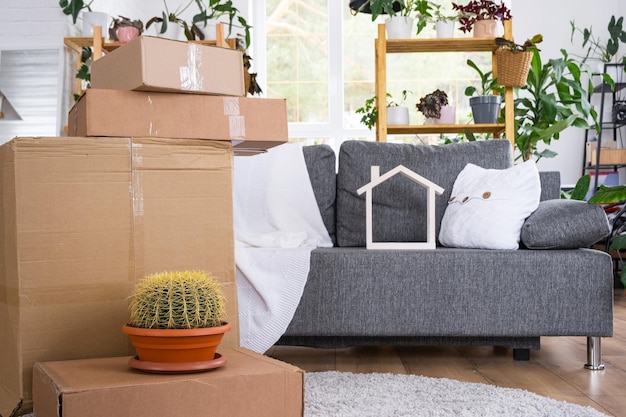 Boxes with things for moving and house plants are in the room of the new house Housewarming family property cargo transportation and delivery of things