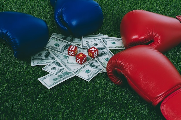 Photo boxing gloves and bill bet on grass green