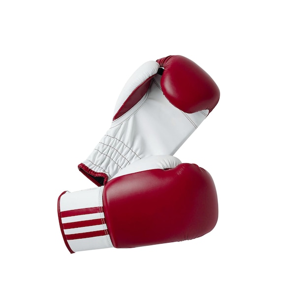 Boxing gloves