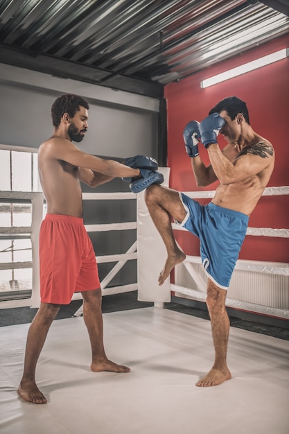 On a boxing ring. Kickboxers fighting on a boxing ring and looking involved