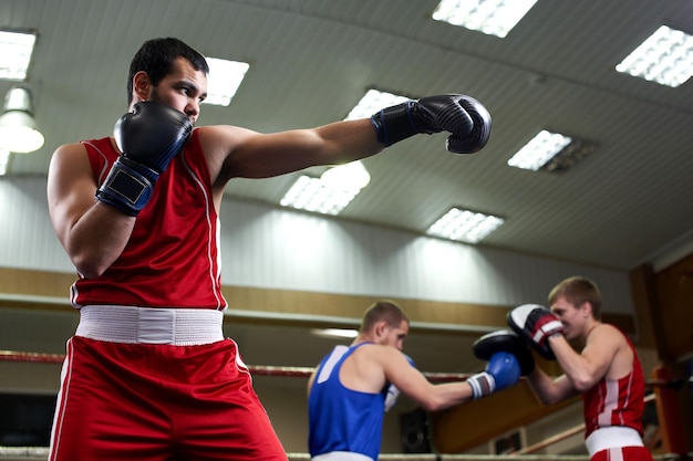 Boxing. Two guys boxer train in the gym