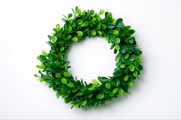 Boxwood krans frame Groen blad kransje symboliserend voor de lente Kerstmis Pasen in Scandinavië