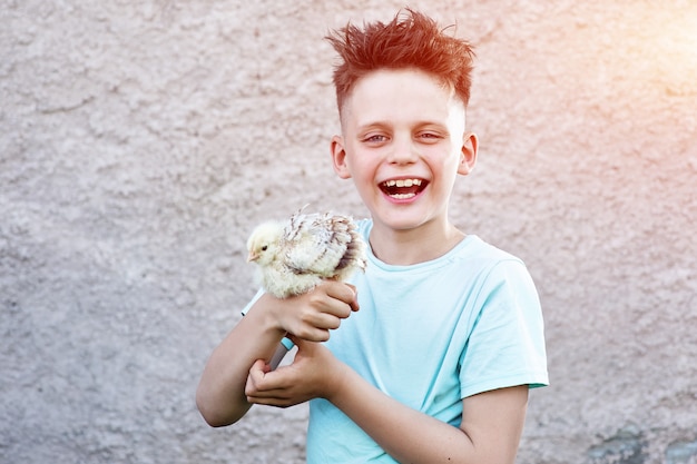 Photo a boy in blue t-shirt with fluffy chicken laughing on blurred background