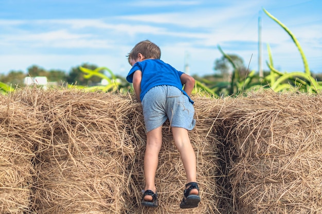 Boy blue tshirt smile play climbs on down haystack bales of dry hay clear sky sunny day Outdoor kid children summer leisure activities Concept happy childhood countryside air close to nature