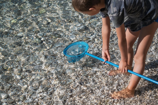 Boy catching sea urchin