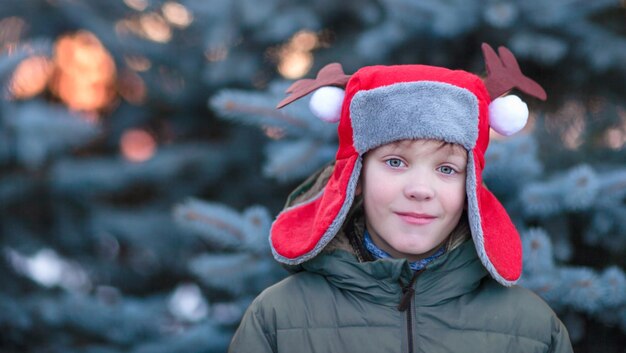 A boy in a Christmas hat stands near the blue fir trees