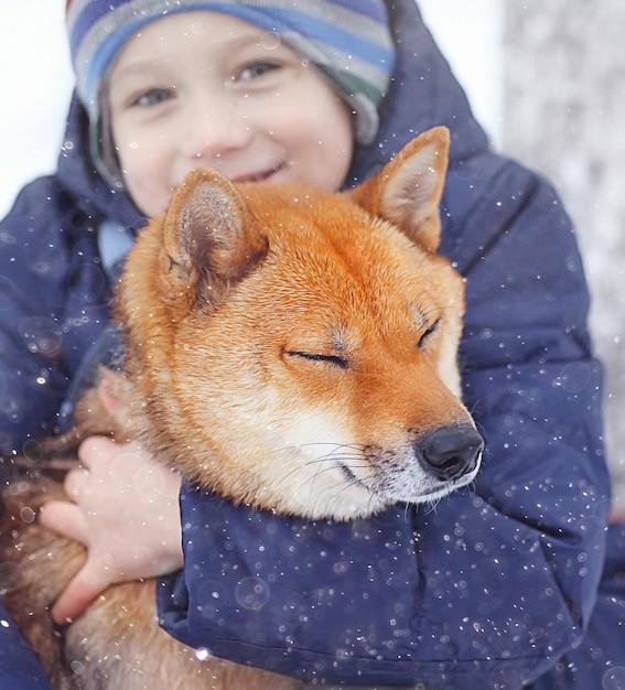 boy and a cute dog concept of friendship