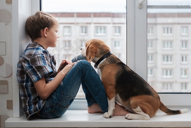 写真 マンションの窓辺に座っているヨーロッパの少年の外観とビーグル犬