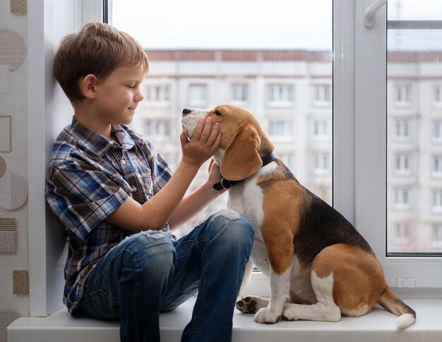 Boy European appearance and Beagle dog sitting on the windowsill in the apartment house