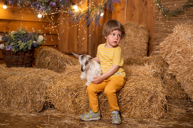 Boy farmer taking care of cute goat baby at the barn in farm