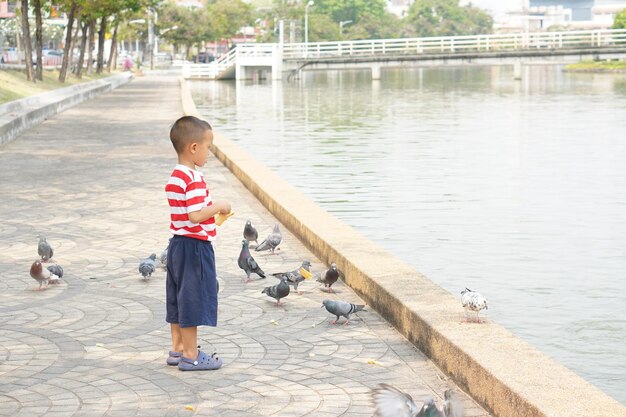 公園で鳥に餌をやる少年