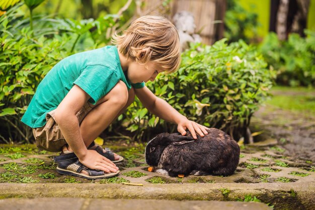 The boy feeds the rabbit Cosmetics test on rabbit animal Cruelty free and stop animal abuse concept