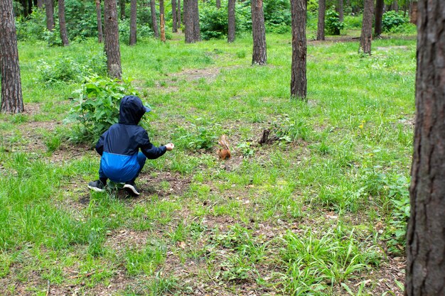 Boy feeds a squirrel in the forest