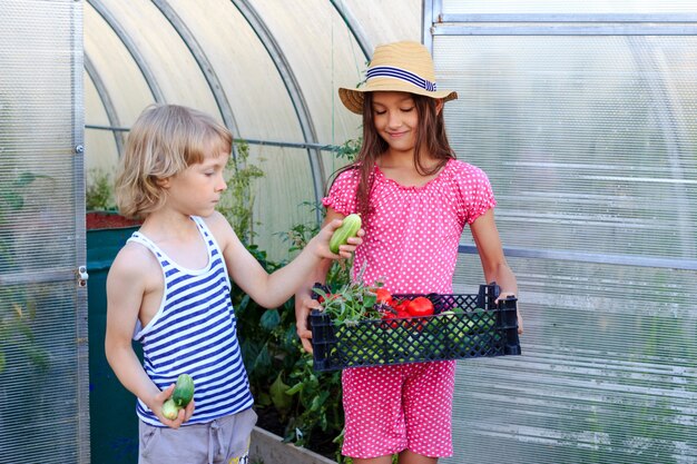 A boy and a girl coming out of a greenhouse with a basket of fresh vegetables