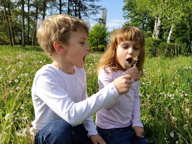 Boy and girl on the grass cute children pick meadow flowers and blow on dandelion seeds