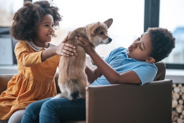 A boy and a girl playing together with a puppy