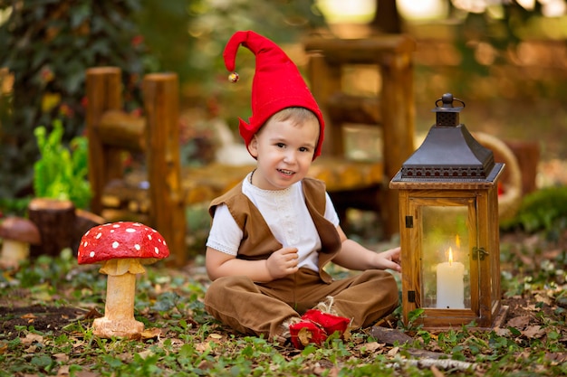 Photo boy in gnome costume in forest