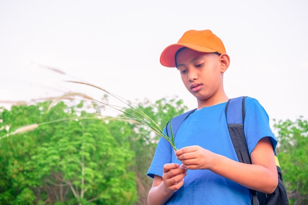 Ragazzo in foresta verde che gioca concetto di avventura e di exporing