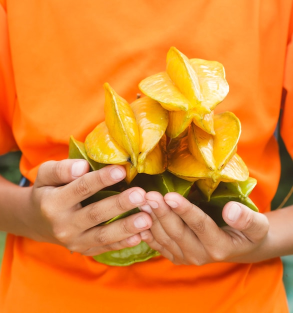 Photo a boy hold many star apple on his hands.