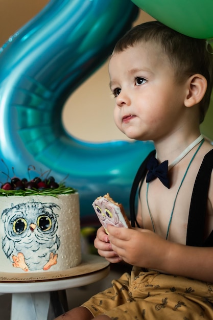 A boy holding a piece of cake with an owl on it.