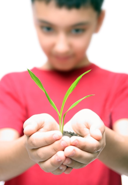 Boy holding plant in hands