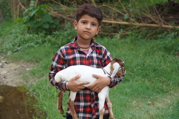 A boy holds a baby goat in his hand