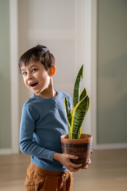 Photo a boy holds a flower pot with sansevieria