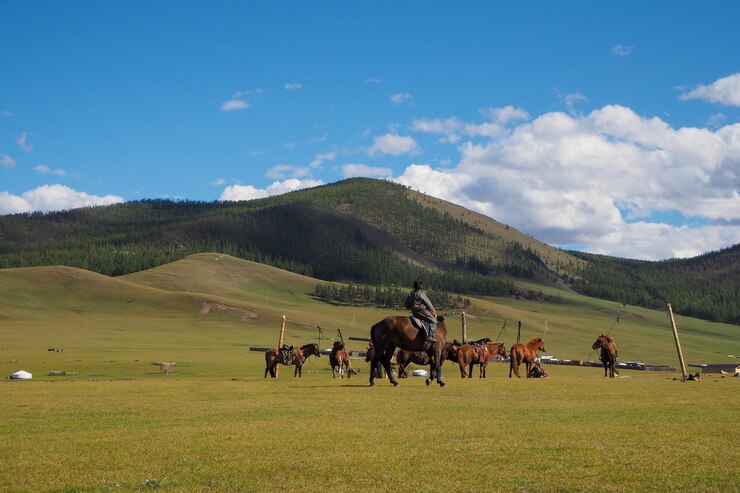 Photo boy on horse in front of others attached horses in orkhon valley
