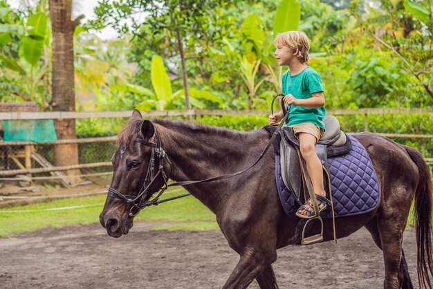 Boy horseback riding performing exercises on horseback