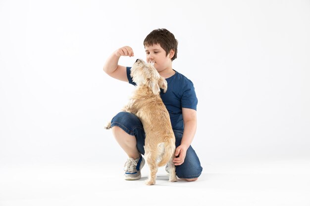 Photo a boy kneels and feeds his shaggy dog from his hand isolated from the background