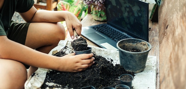 Boy learns to grow flowers in pots leisure activities concept