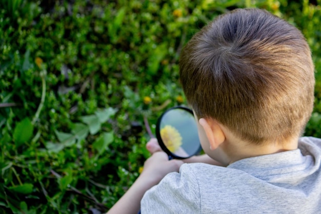 Foto il ragazzo guarda il fiore attraverso una lente d'ingrandimento con una messa a fuoco selettiva