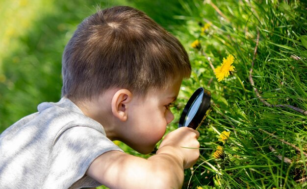 少年は虫眼鏡を通して花を見ます