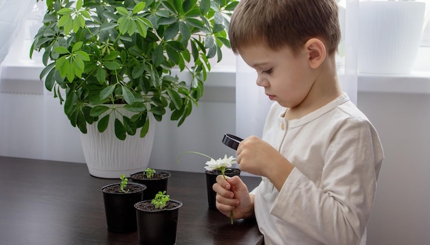 少年は虫眼鏡で花をのぞき込む