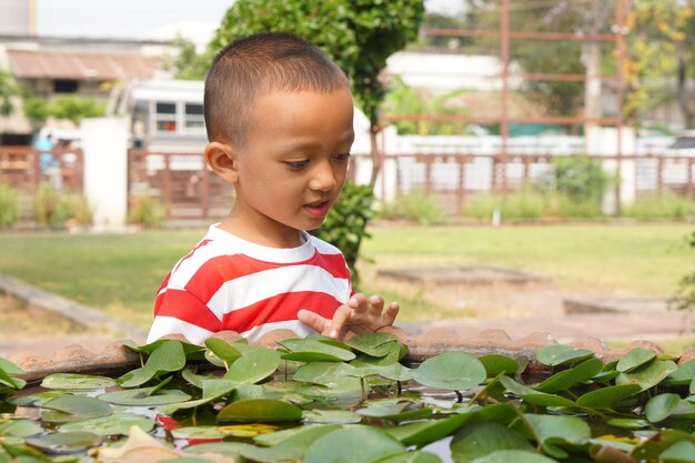 Boy looks at the lotus in the bath