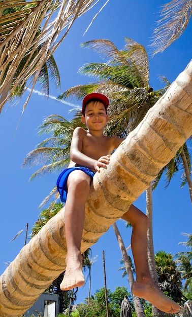 Boy on a palm tree