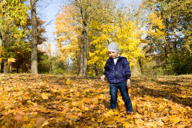 秋の公園の少年