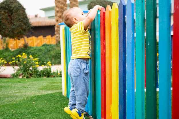 Boy peeking over colorful wooden fence of the kids club in summer resort in Egypt Holiday concept