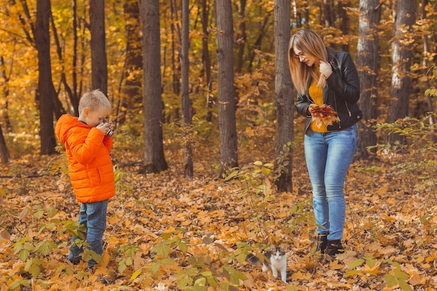 Boy photographer takes pictures of a cat in the park in autumn. Mother looks on this. Pet, photo art and leisure concept.