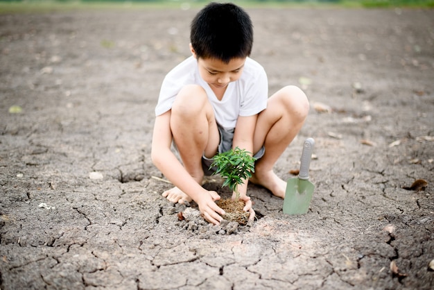 写真 亀の土に植える少年