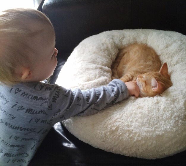 写真 家で猫と遊ぶ少年