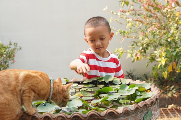 お風呂で猫と遊ぶ男の子