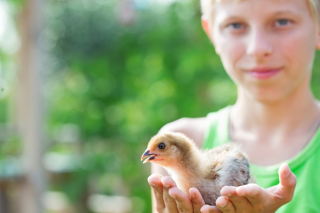 Boy playing with chickens in the garden