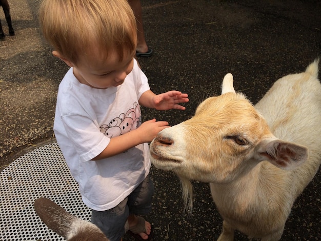 Photo boy playing with goat