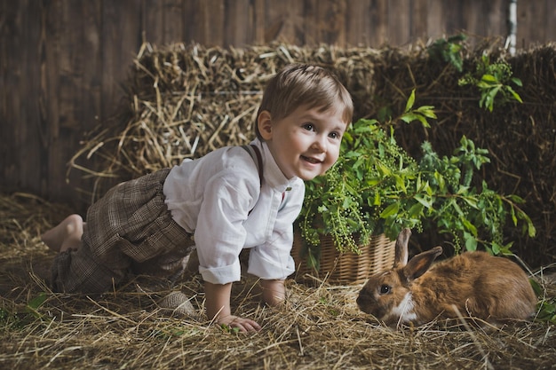 Photo the boy plays with the animals in the manger 6053