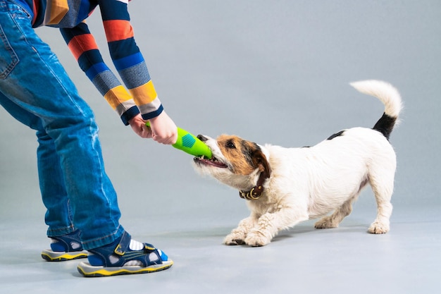 The boy plays with a dog in the studio Closeup