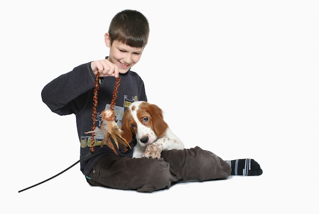 The boy plays with a puppy of a setter