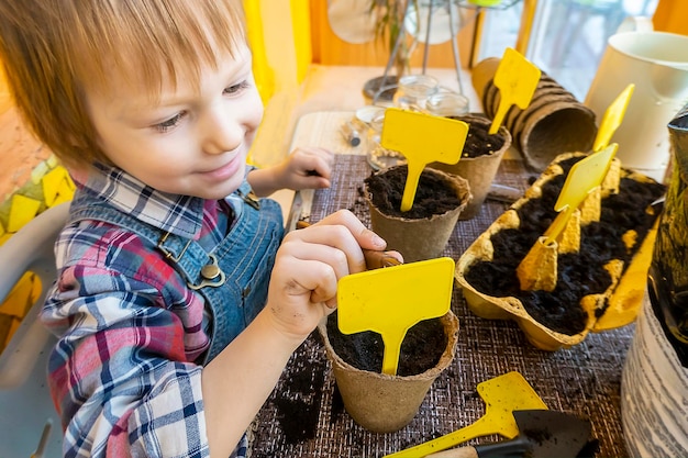 Boy puts markers and signs the planted plants