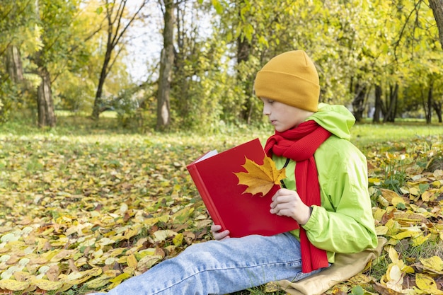 Фото Мальчик читает красную книгу в парке, осенние школьные каникулы, школьник делает уроки на открытом воздухе, ребенок читает фею