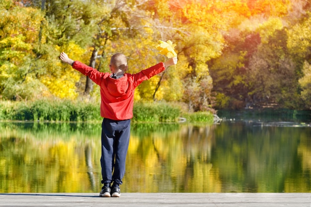 Boy in red jacket standing on the dock with leaves in his hand. Autumn, sunny. View from the back